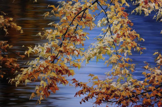 "Gold of Autumn"