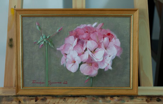 Geranium