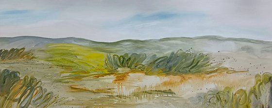 Dry Creek and Canola Fields