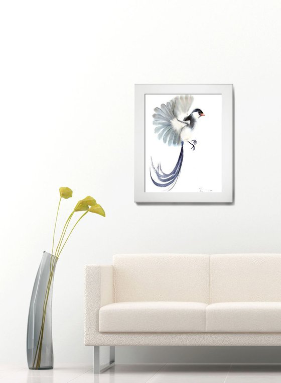 Pin-tailed whydah Bird Original Watercolor Painting