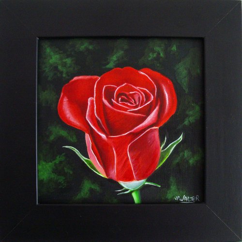 Valentine rose by Jean-Pierre Walter