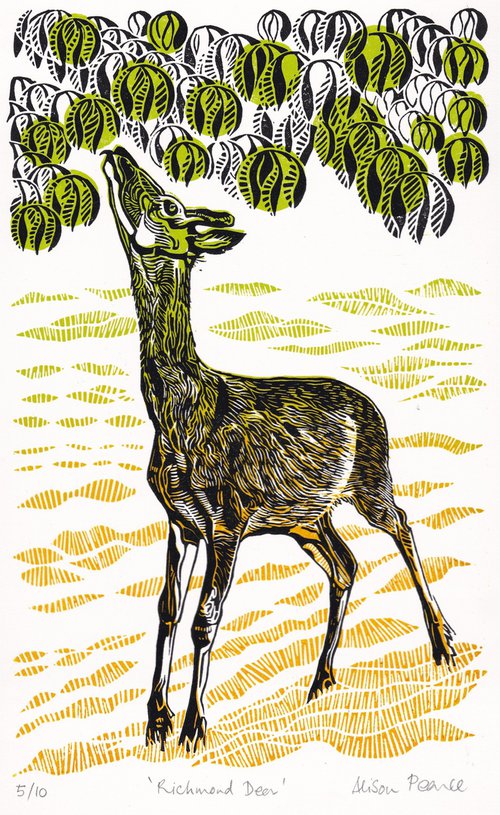 Richmond Deer_First Edition by Alison Pearce