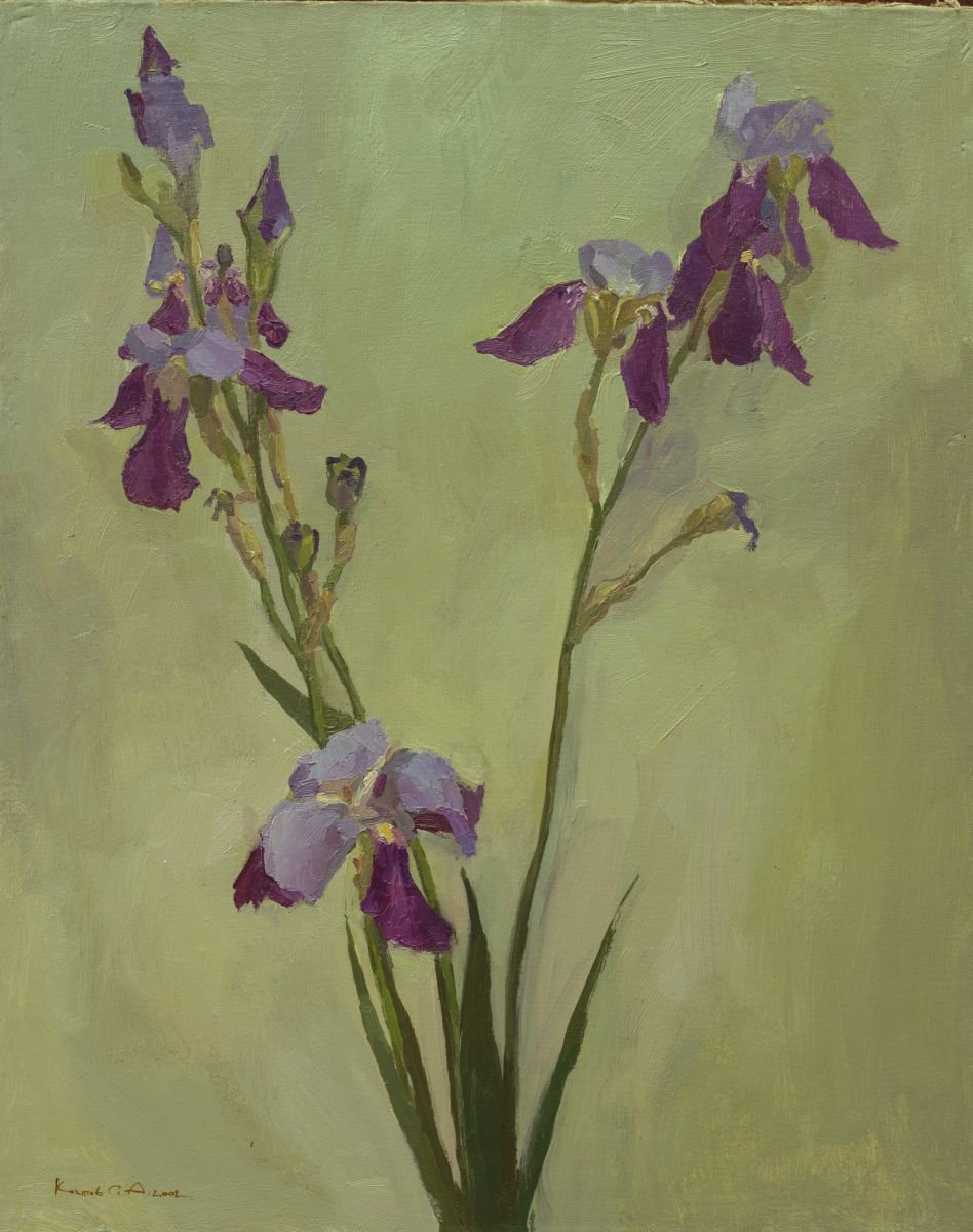 Impressionistic Botanical Oil Painting By Sergey Kostov, 20 X 25", Irises, Original Artwork