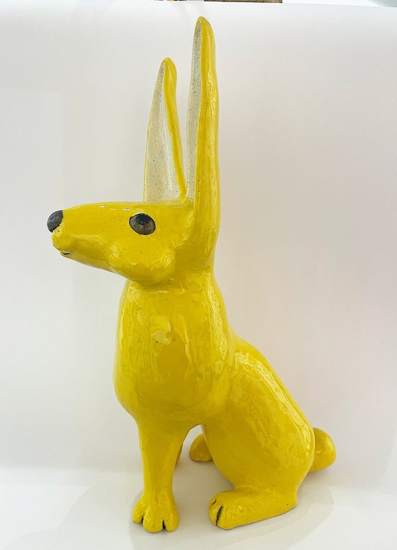 Yellow rabbit