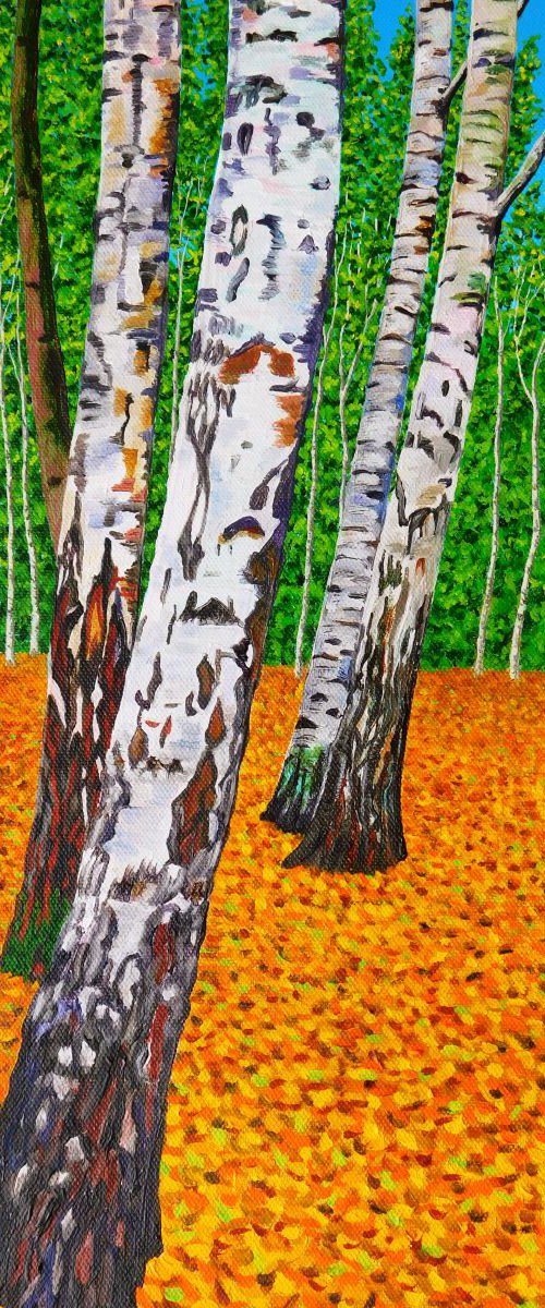 Silver Birch Wood by Ruth Cowell