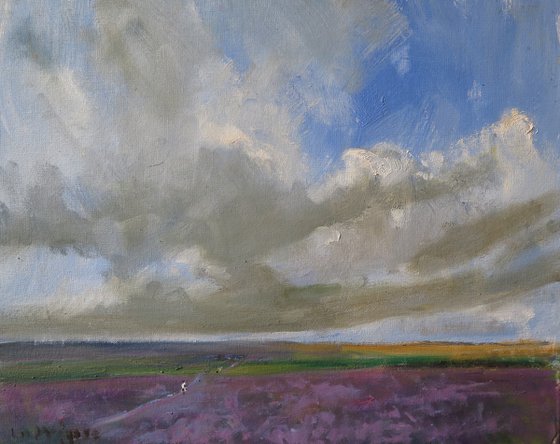 Bransdale Heather