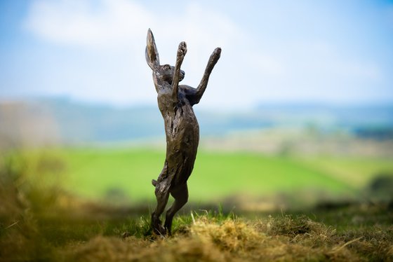 Spring Hare Foundry Bronze