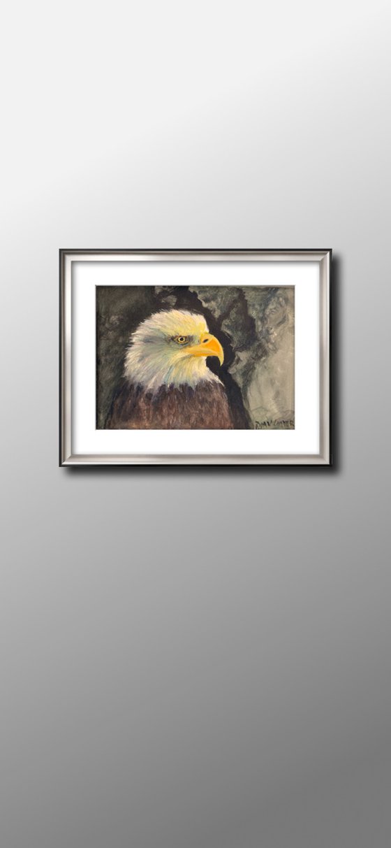 Eagle Study