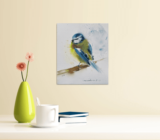 Eurasian Blue Tit