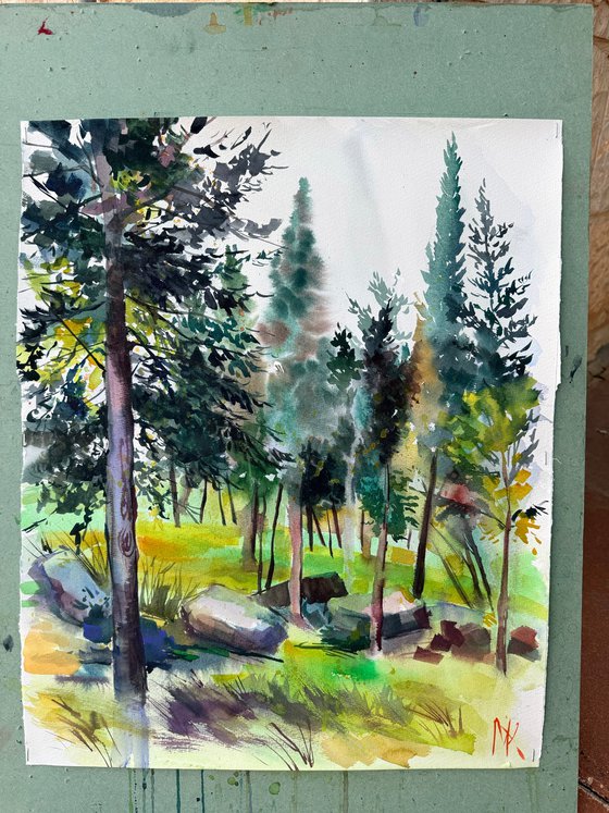 Morning in the Woods