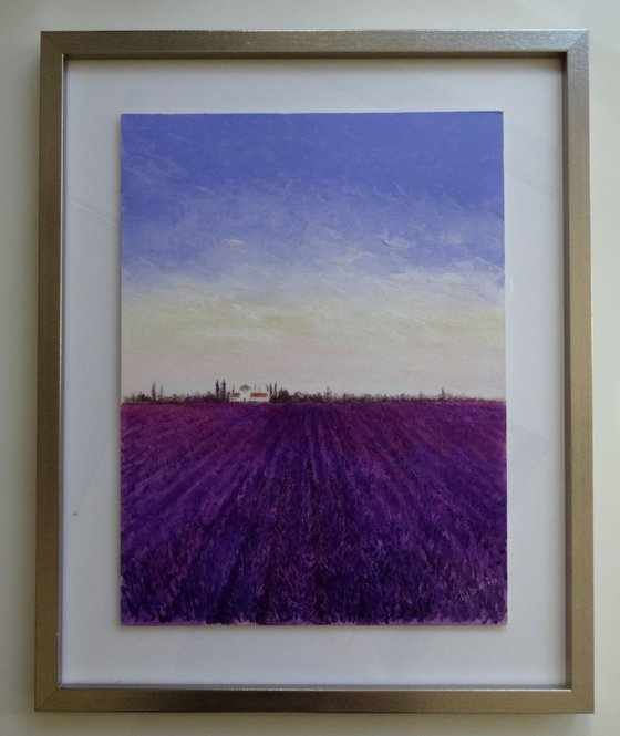 A Lavender Day