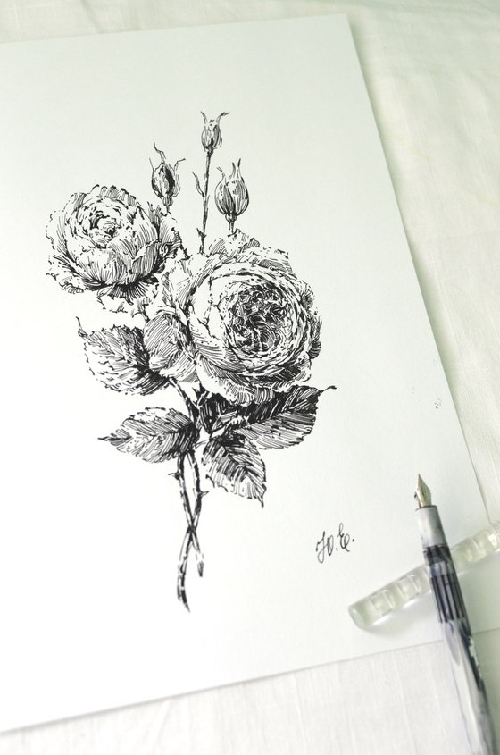 Ink David Austin Roses