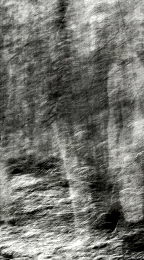 VISIONS by PHILIPPE BERTHIER