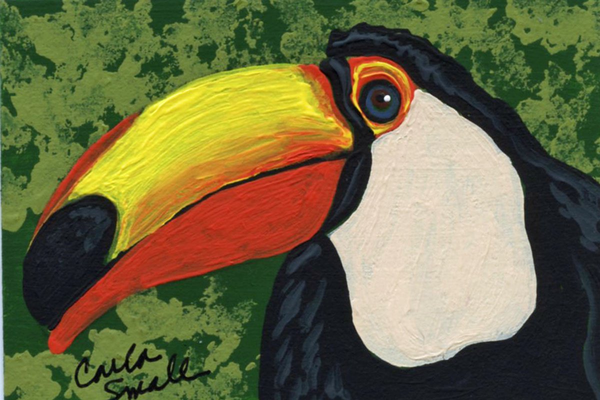 Toucan by Carla Smale