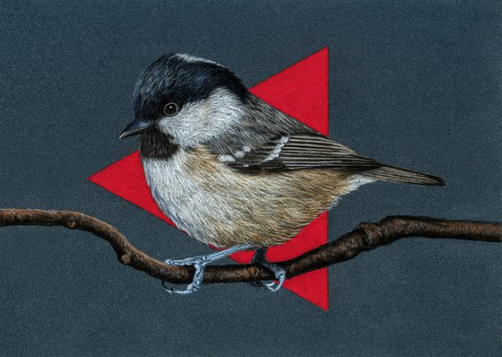 Original pastel drawing bird "Coal tit"