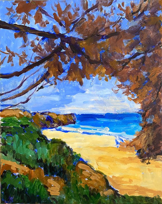 Jug Handle State Park