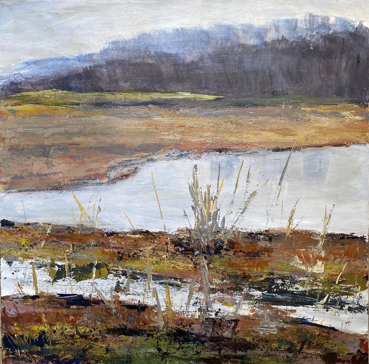 Moody Saltmarsh by Nikki Wheeler