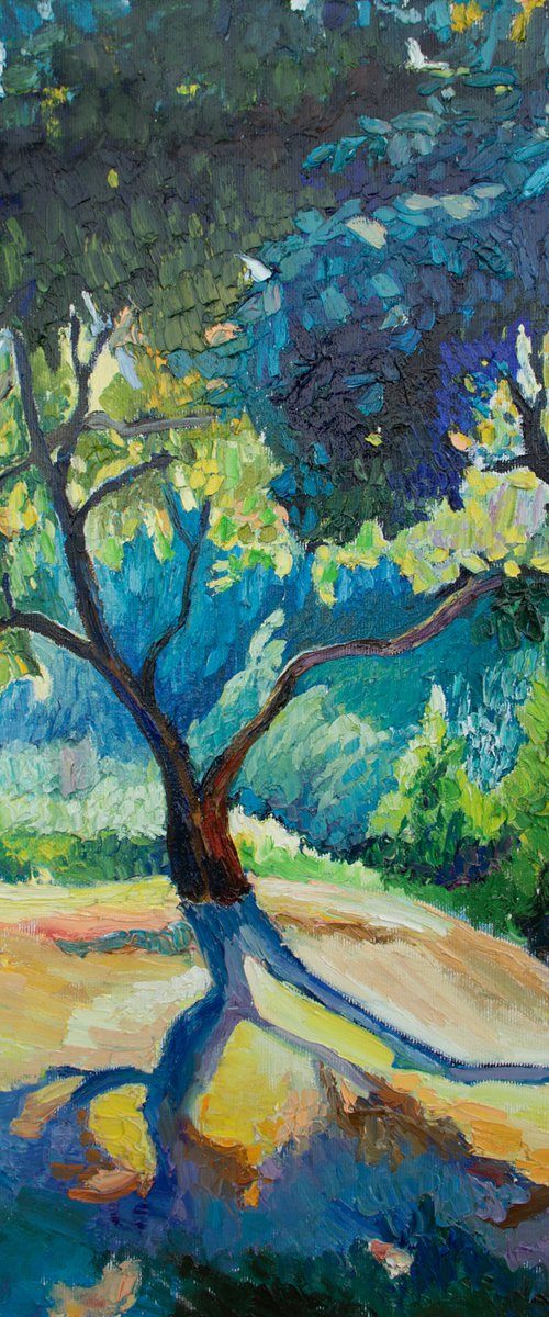 Apricot Trees With Shadows by Lilit Vardanyan