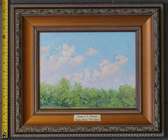 Clouds. Botanical Garden