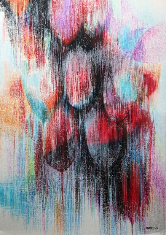 Multicolored Tulips 2