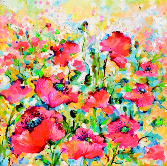 Red Opium Poppy Field