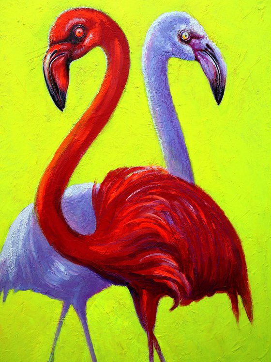 Flamingo 2