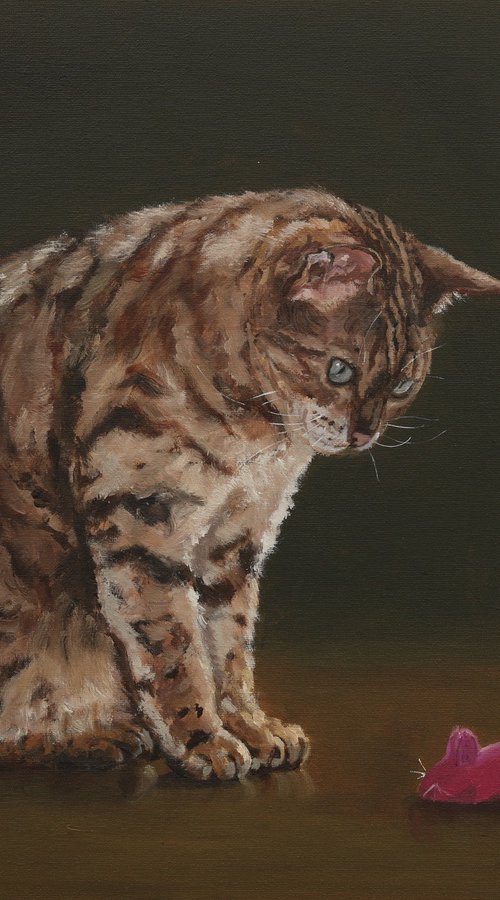 Bengal cat with toy mouse by Tom Clay