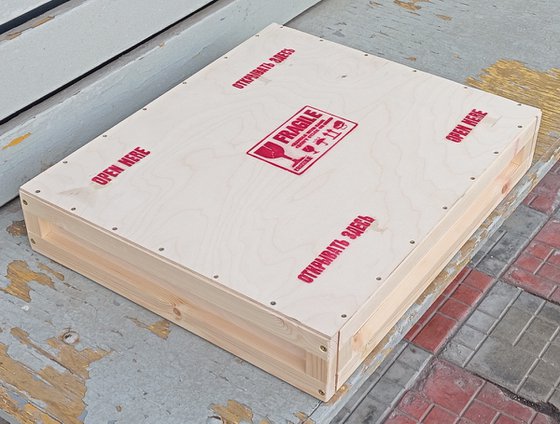 Japanese garden. Sakura blossom