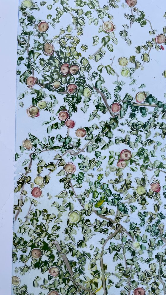 Apple trees and blue sky