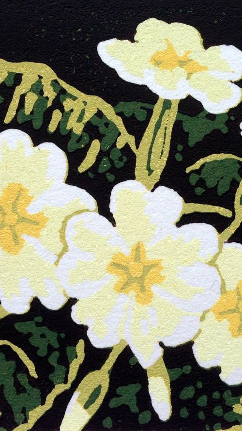 Primroses by Alexandra Buckle