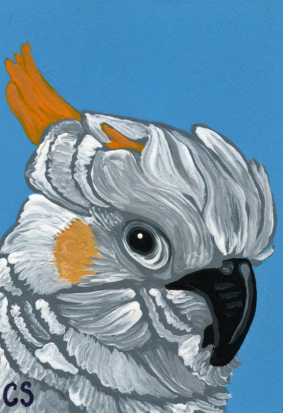 ACEO ATC Original Painting Citron Crested Cockatoo Parrot Bird Art-Carla Smale