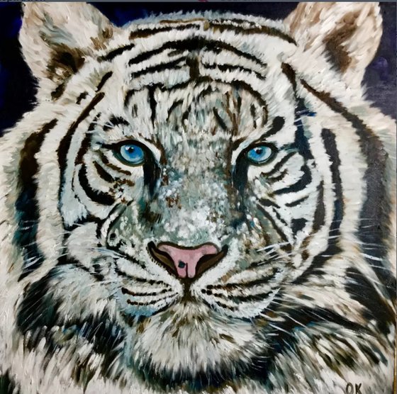 White tiger