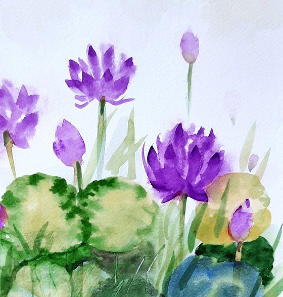 Crimson water lily pond set