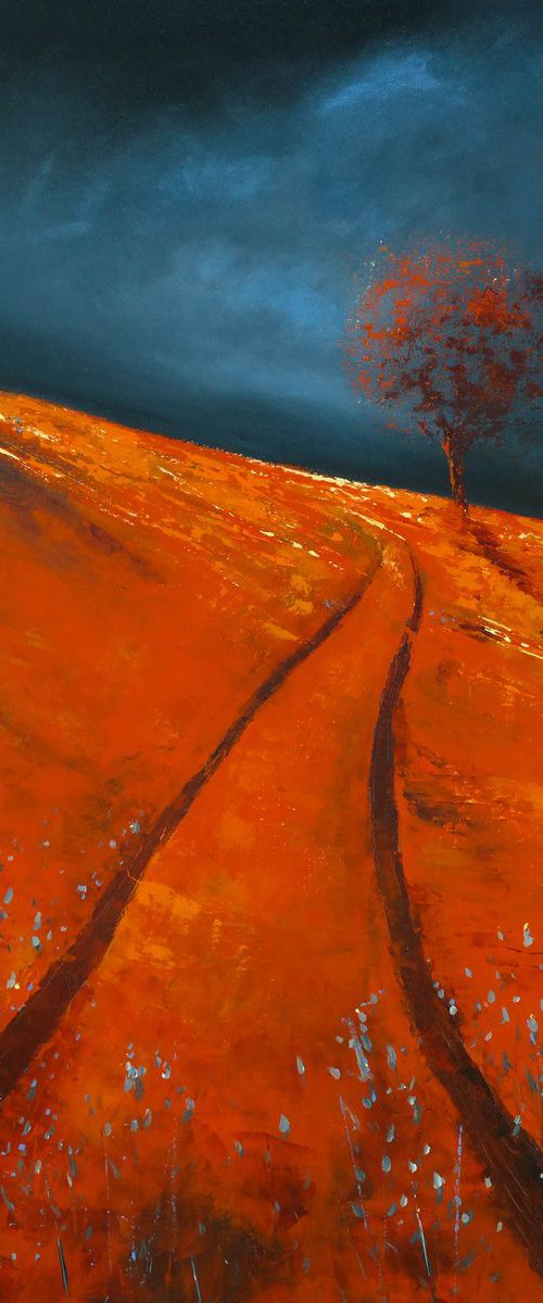 The Reds and the storm - Fields and Colors Series by Danijela Dan