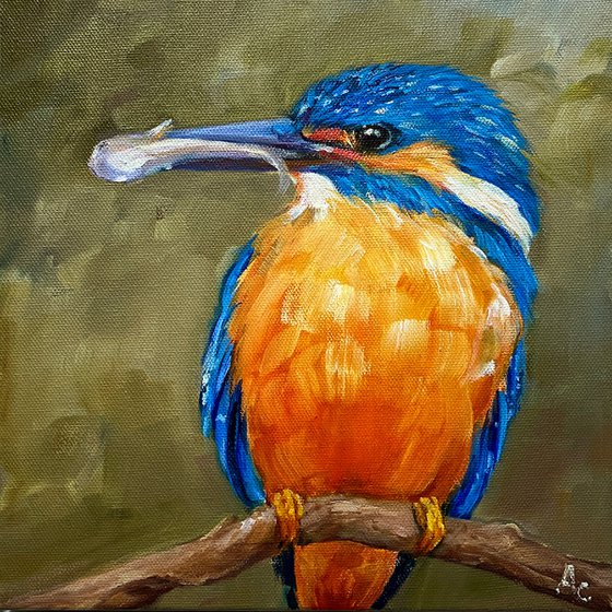 A day's Catch_ Kingfisher