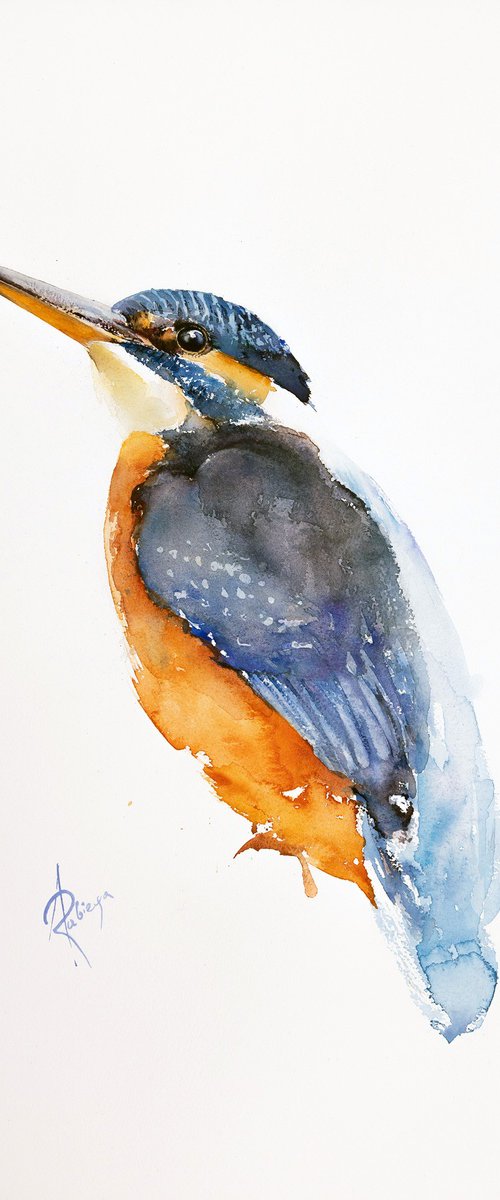 Kingfisher by Andrzej Rabiega