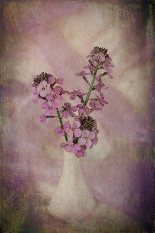 Floral still Life by Martin  Fry