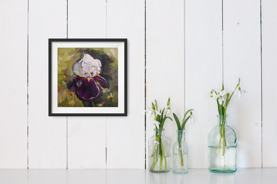 White violet iris in the garden, iris flower Painting