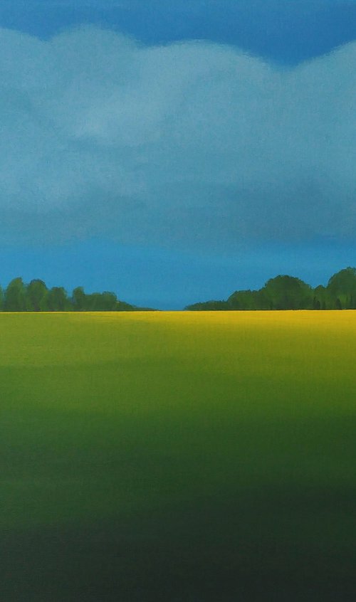Red roofs, golden daffodils (7) by Nelly van Nieuwenhuijzen