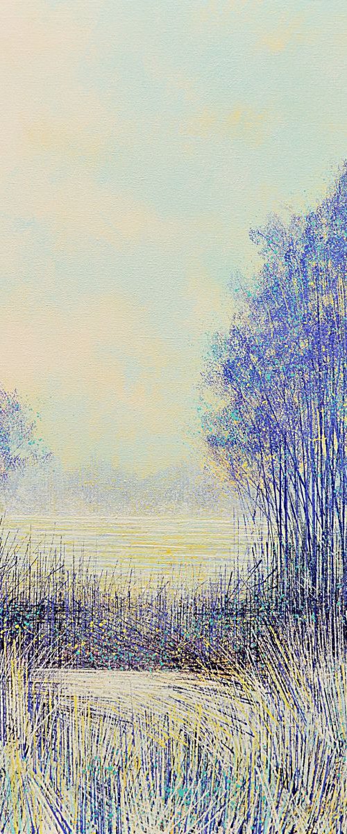 Early Morning Light by Marc Todd