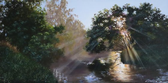 Sunlight Through River Trees