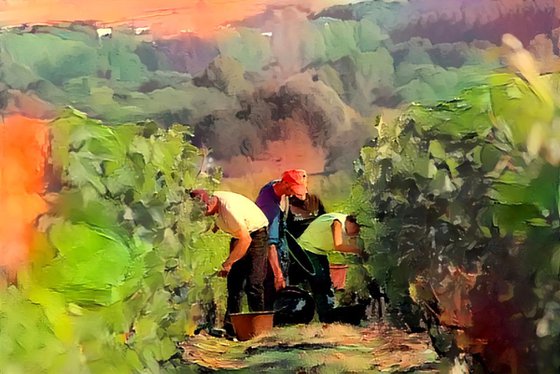 Burgundy's landscape N7
