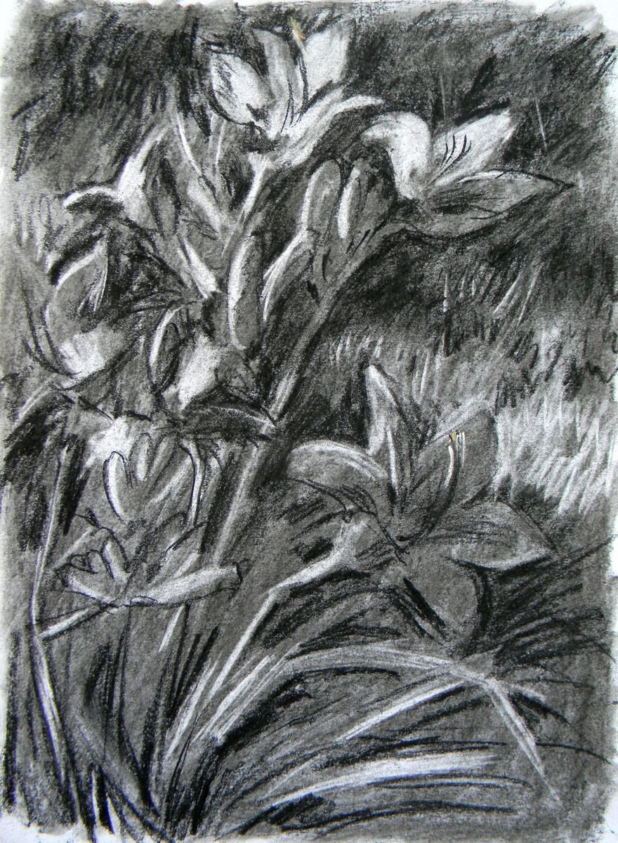 Day-lily 1 by Liudmyla Chemodanova