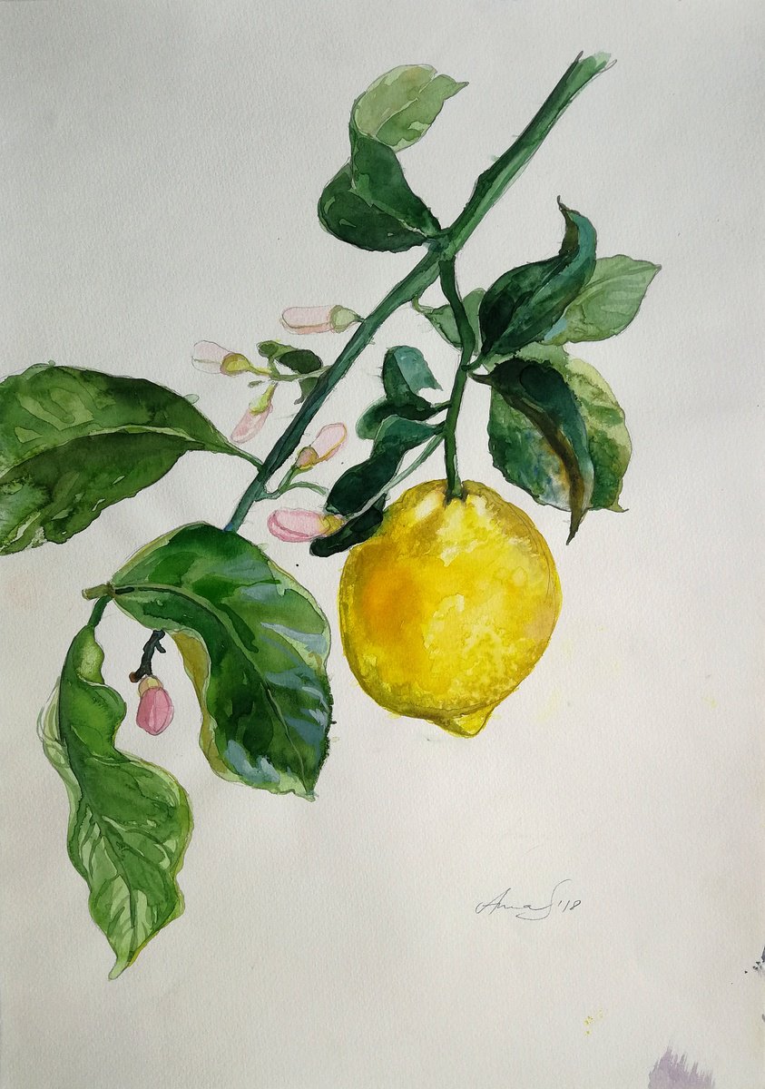 Lemon branch by Anna Silabrama