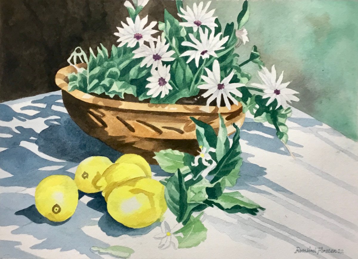 Daisies and Lemons by Rosalind Forster