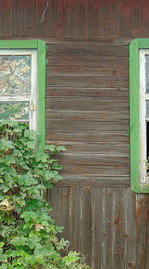 Two old windows in an abandoned house by Olexsandr Tsytsenko