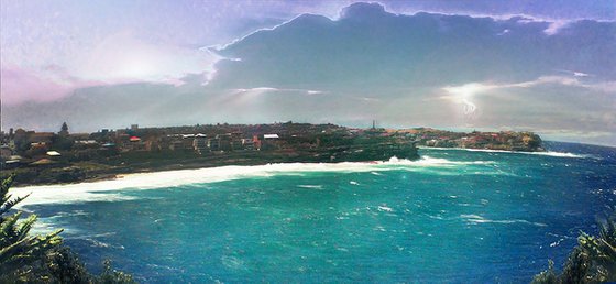 Bilgola Purple