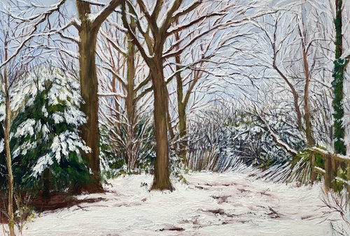 Arrandene in Snow by Diana Sandetskaya