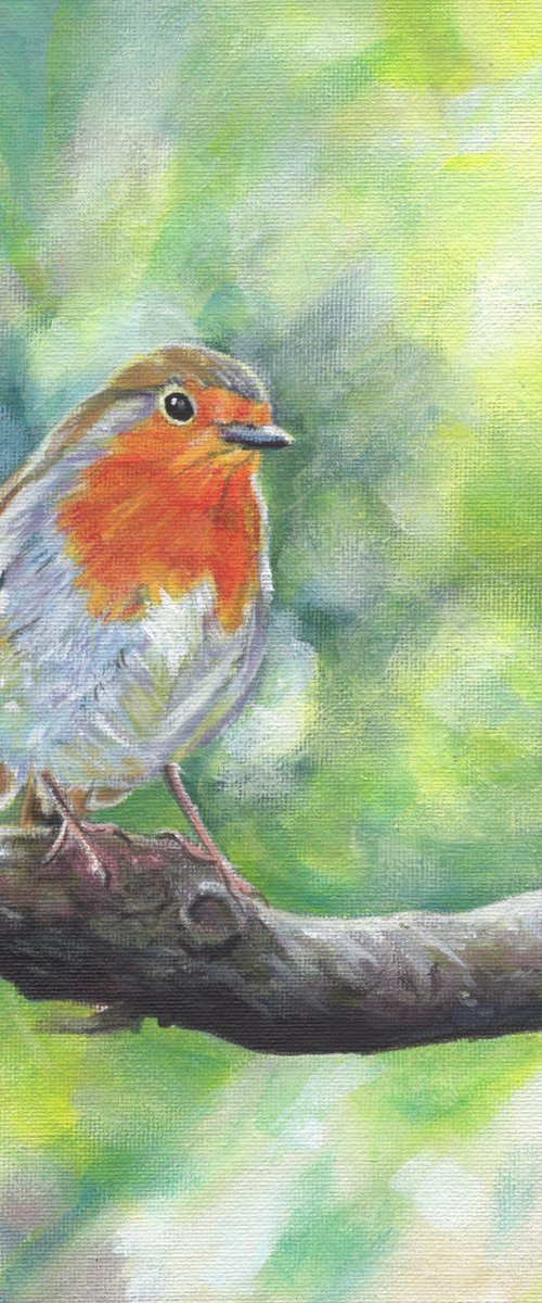 Robin Redbreast by Sarah Stowe