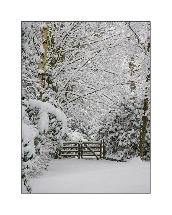 Snowy Gate